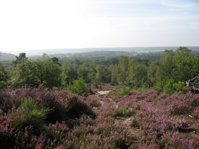 2007 08 Bois de Rochefort 21